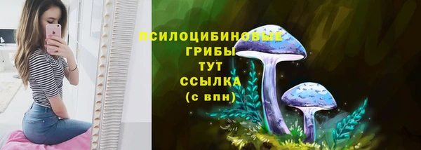 прущие грибы Беломорск