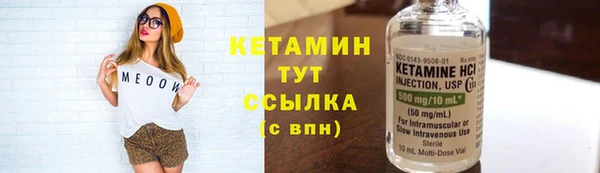 прущие грибы Беломорск