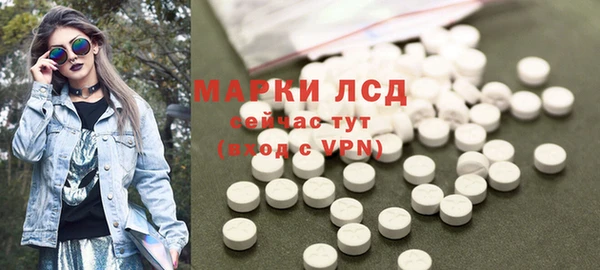 прущие грибы Беломорск