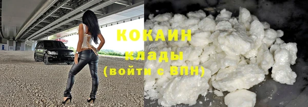 прущие грибы Беломорск