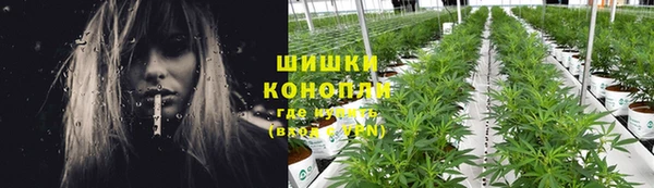 прущие грибы Беломорск