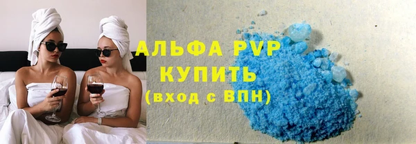 прущие грибы Беломорск