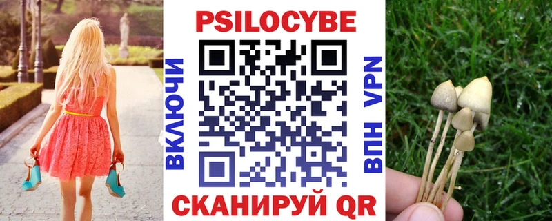 наркошоп  Рудня  Псилоцибиновые грибы MAGIC MUSHROOMS 